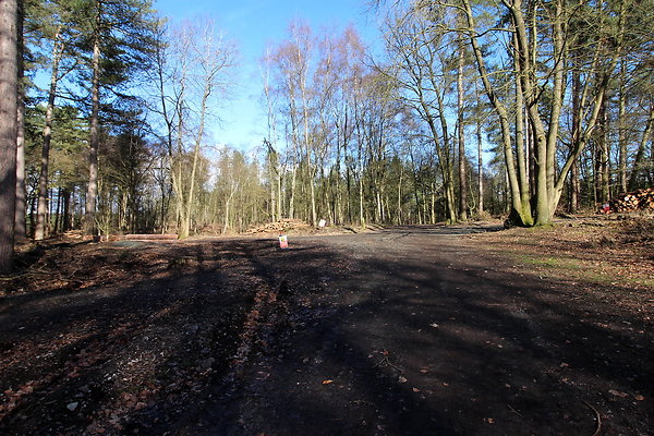 delamerewhitefield084