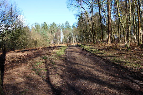delamerewhitefield078