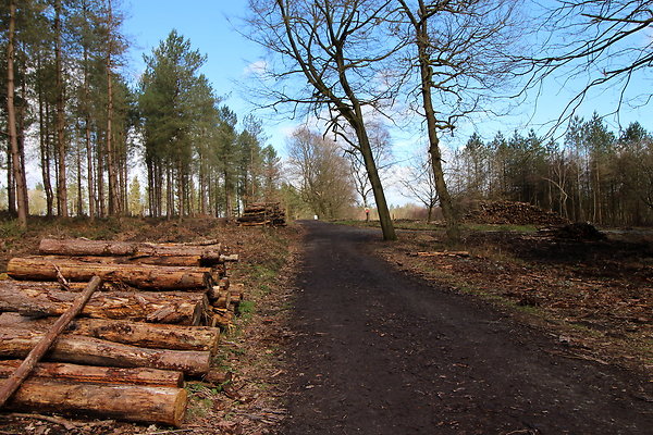 delamerewhitefield038