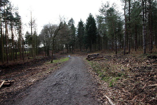 delamerewhitefield041
