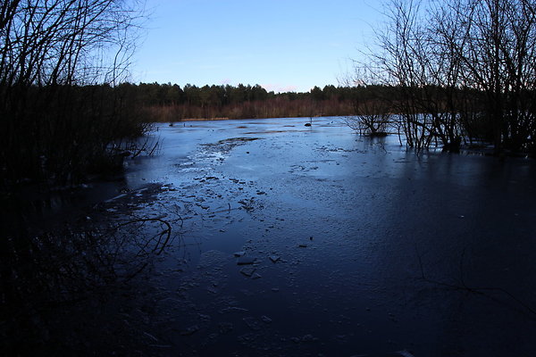 delamereforest095
