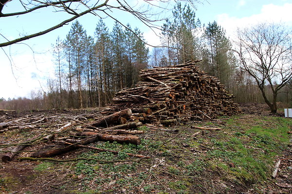 delamerewhitefield043