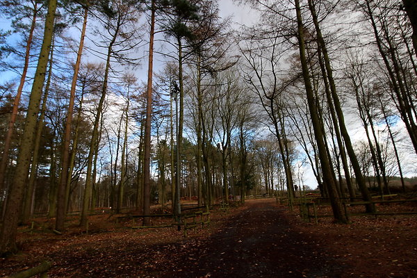 delamerewhitefield004