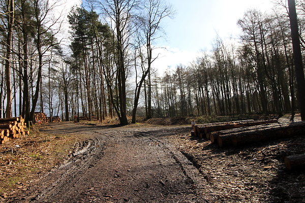 delamerewhitefield083
