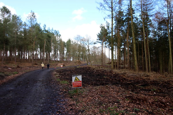 delamerewhitefield033