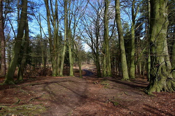 delamerewhitefield024
