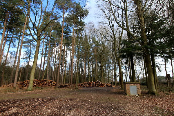 delamerewhitefield011