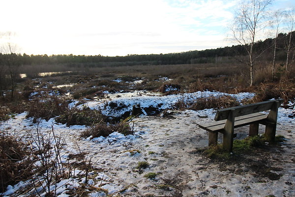 delamereforest116
