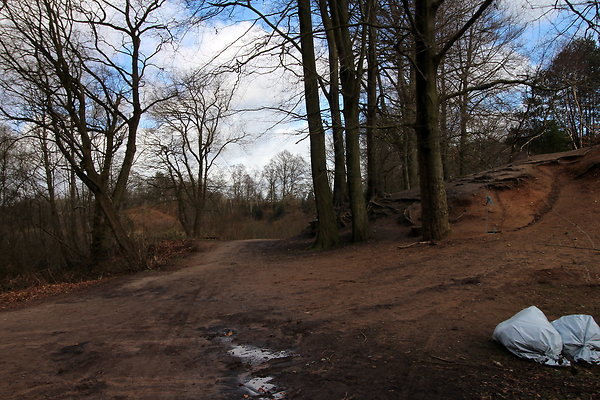 delamerewhitefield054