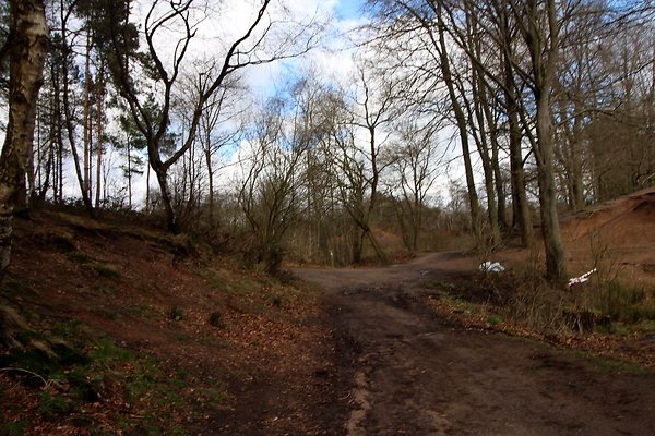 delamerewhitefield053
