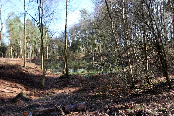 delamerewhitefield082