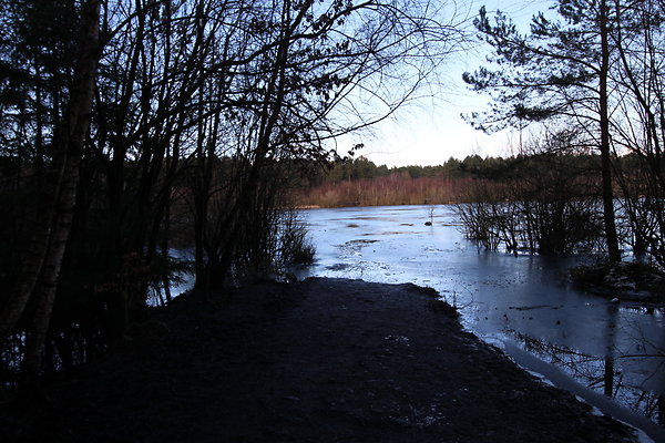 delamereforest094