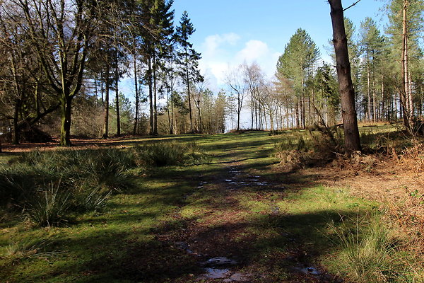 delamerewhitefield068