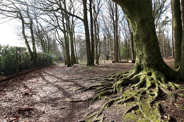 delamerewhitefield025