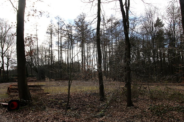 delamerewhitefield014