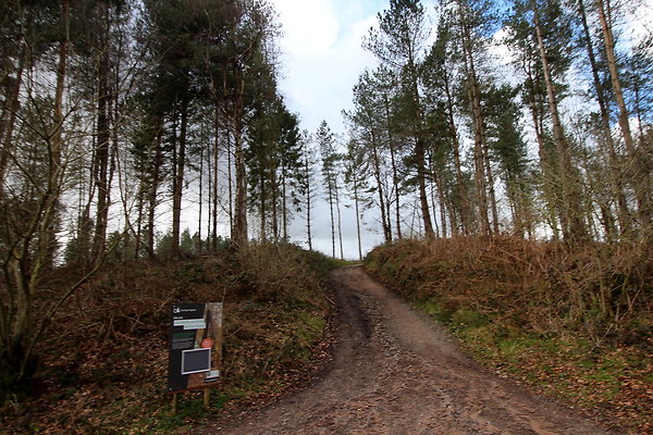 delamerewhitefield055