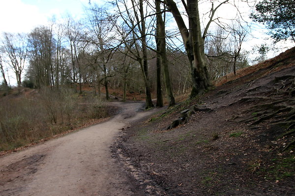 delamerewhitefield059