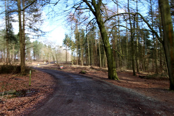 delamerewhitefield031