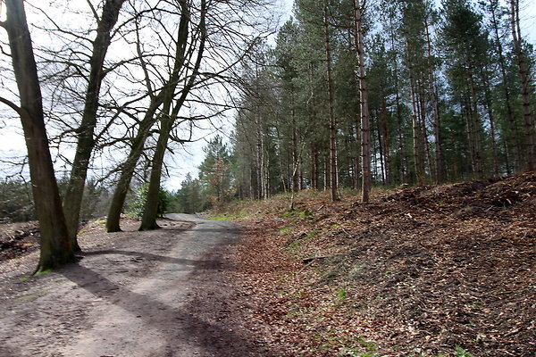 delamerewhitefield050