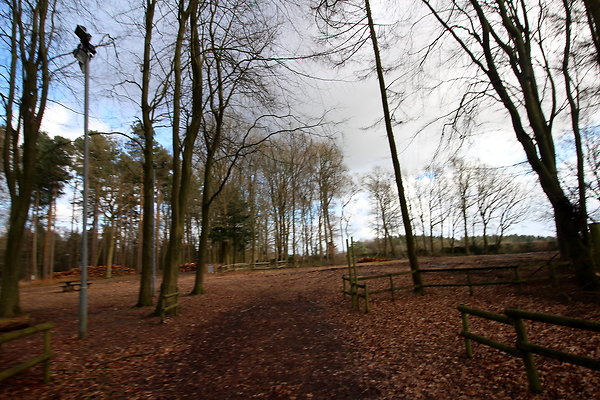 delamerewhitefield006