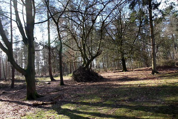delamerewhitefield070