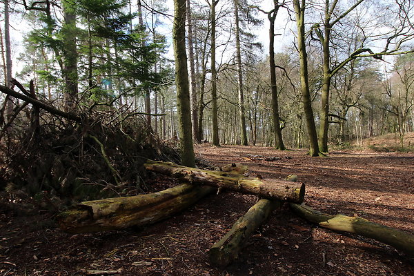delamerewhitefield027