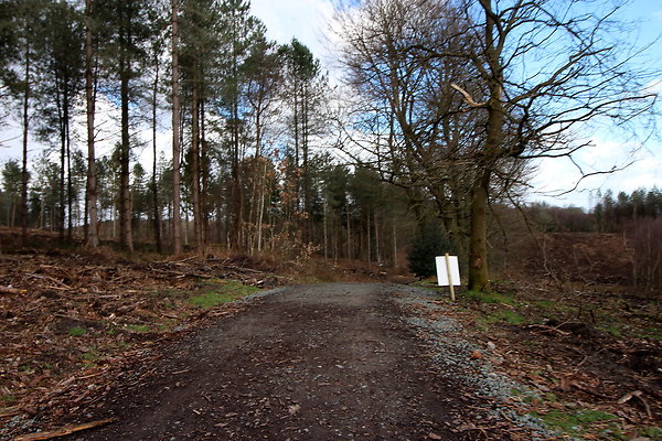 delamerewhitefield045