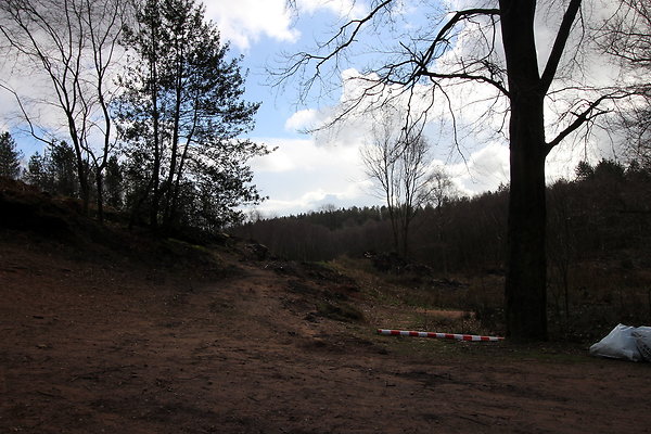 delamerewhitefield056