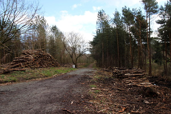 delamerewhitefield042