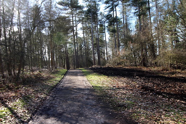 delamerewhitefield075