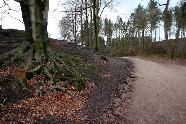 delamerewhitefield062