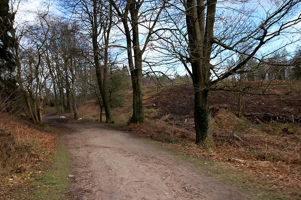 delamerewhitefield051