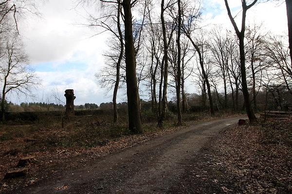 delamerewhitefield013