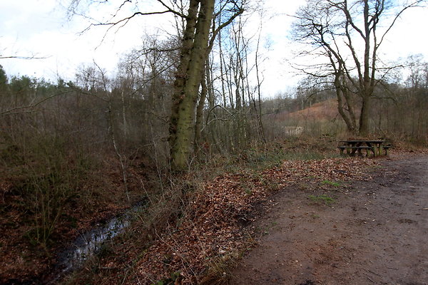 delamerewhitefield057
