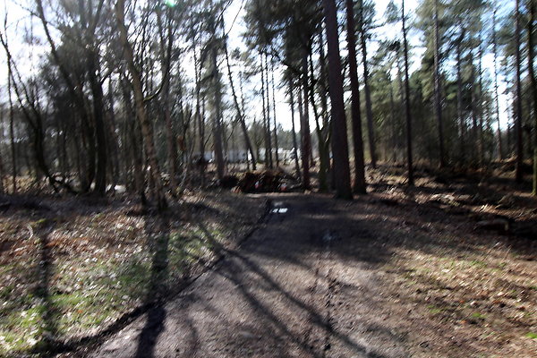 delamerewhitefield077
