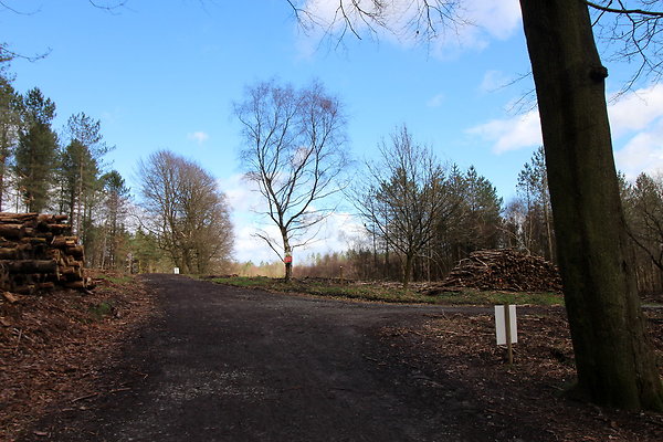 delamerewhitefield040