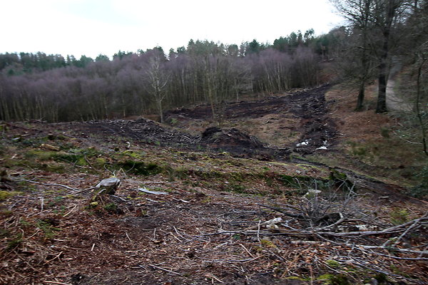delamerewhitefield064