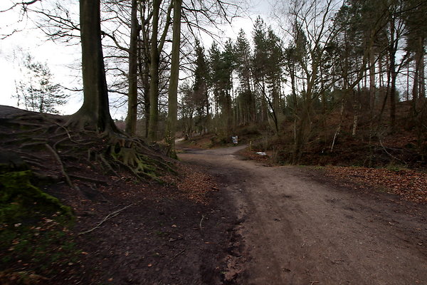 delamerewhitefield063