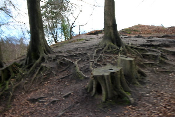delamerewhitefield058