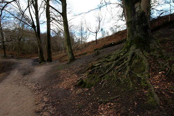 delamerewhitefield060