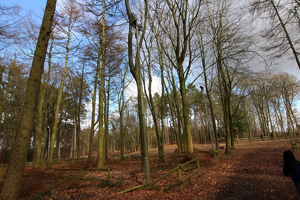 delamerewhitefield005