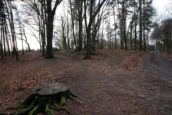 delamerewhitefield032
