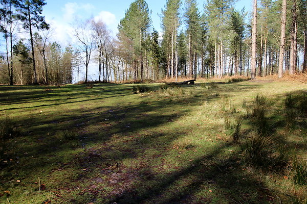 delamerewhitefield069