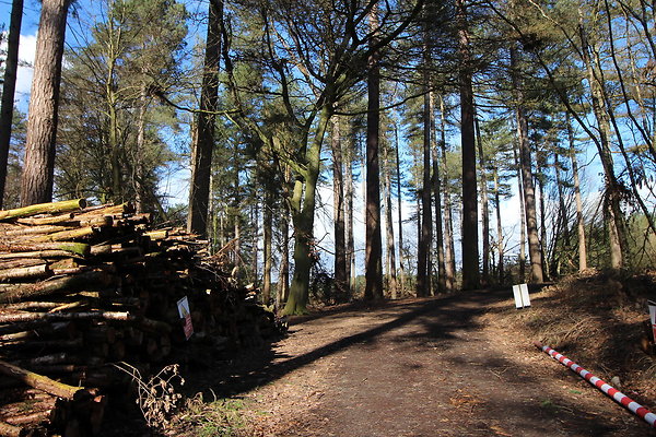delamerewhitefield081