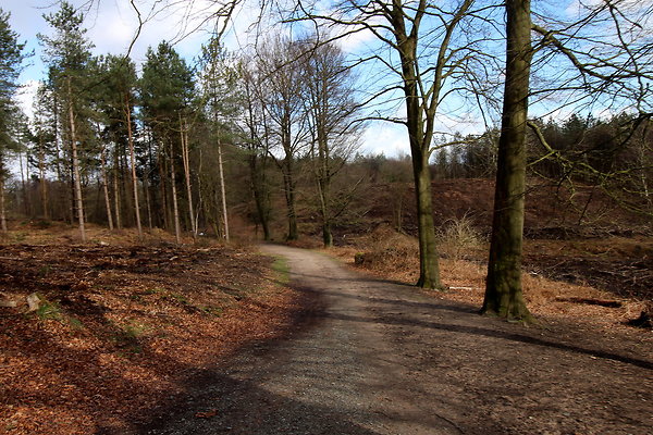 delamerewhitefield049