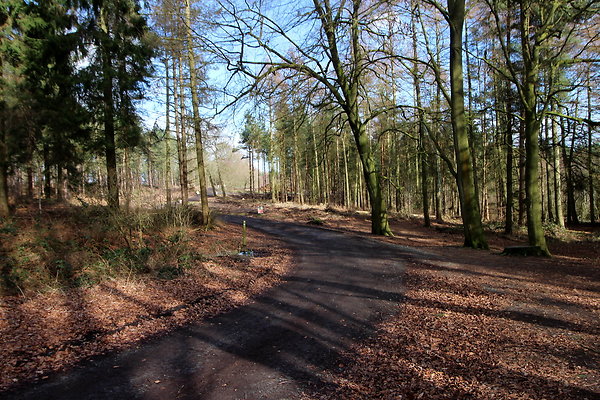 delamerewhitefield030