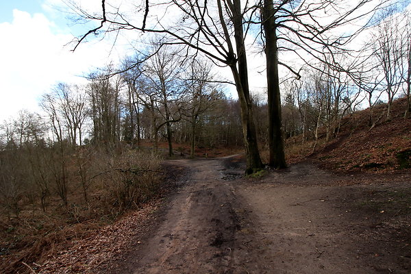 delamerewhitefield061