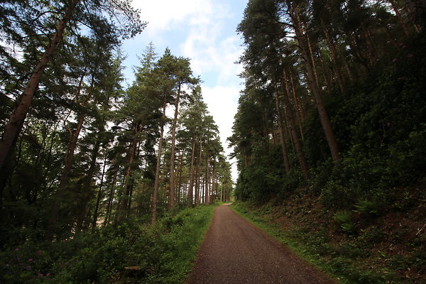 UpperDerwent094