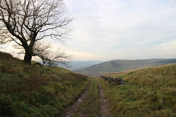 Goyt Valley068