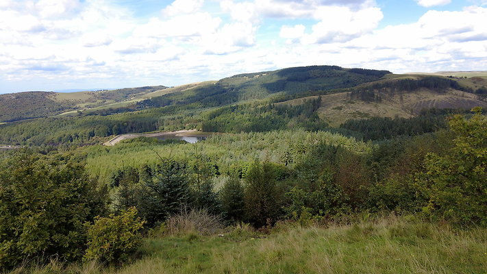 MacclesfieldForest2025068